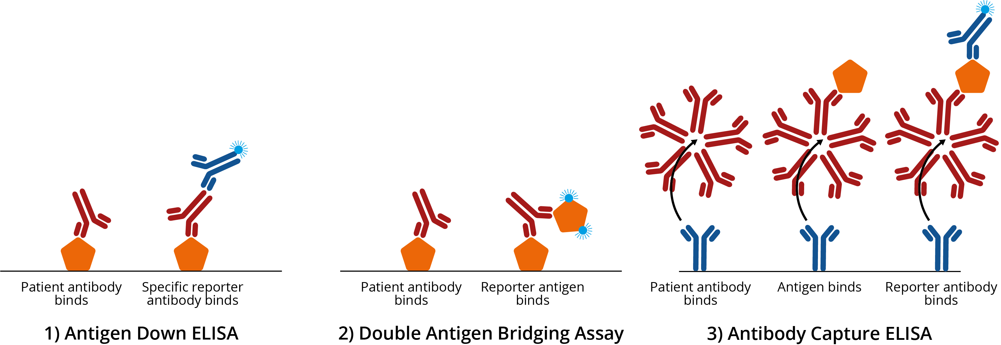 _images/ELISA-variants1.png