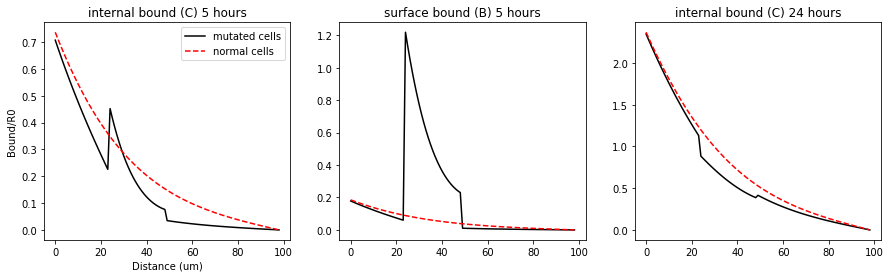 _images/MorphogenGradients_53_1.png
