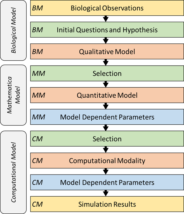 tripartate modeling workflow