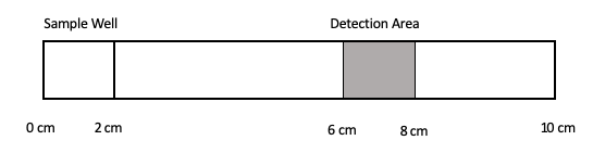 _images/serologicalDiagram.png