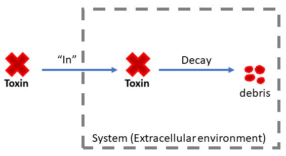 _images/toxinProduction.png